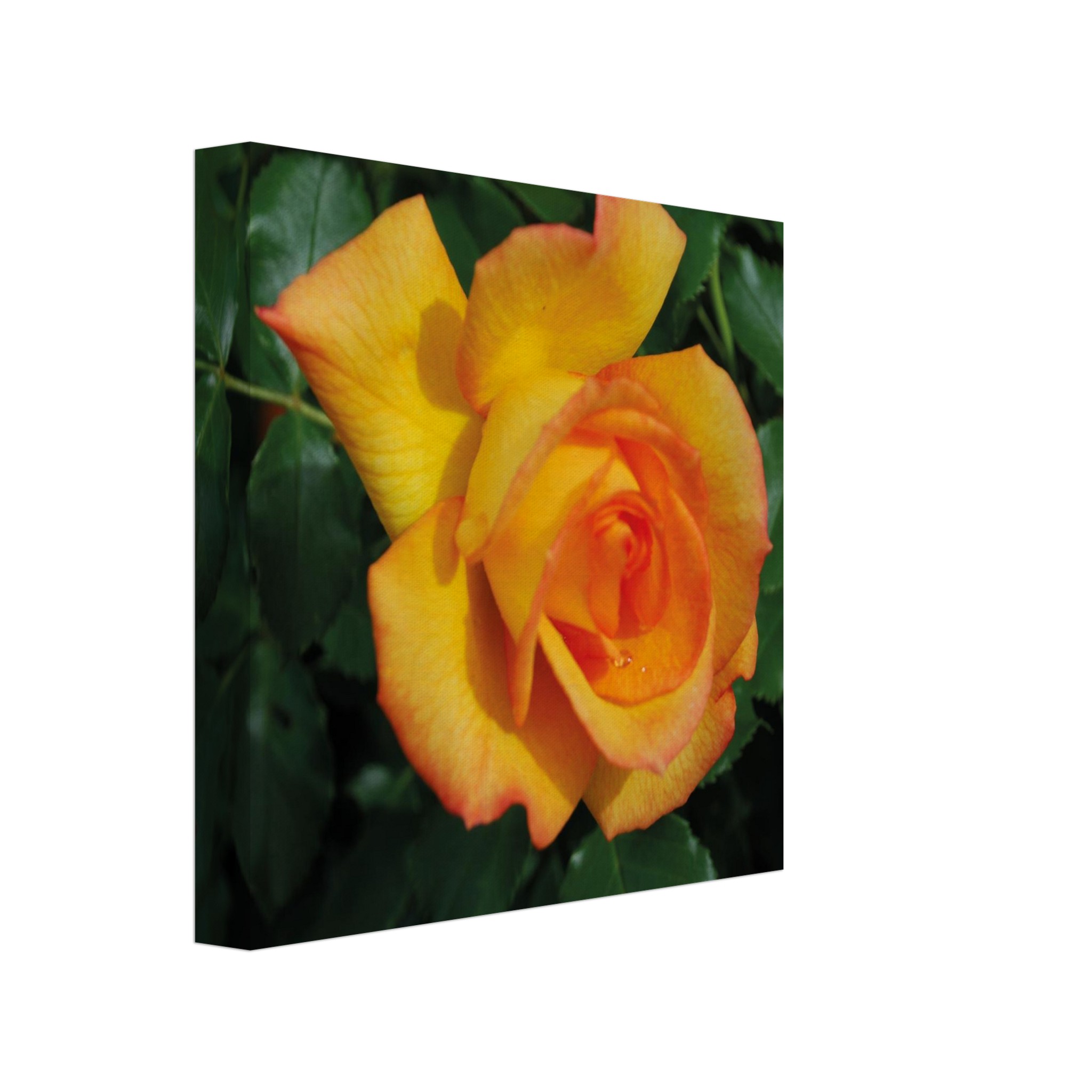 9342d93d-acce-4fa3-b059-c2d8c0d1e60b